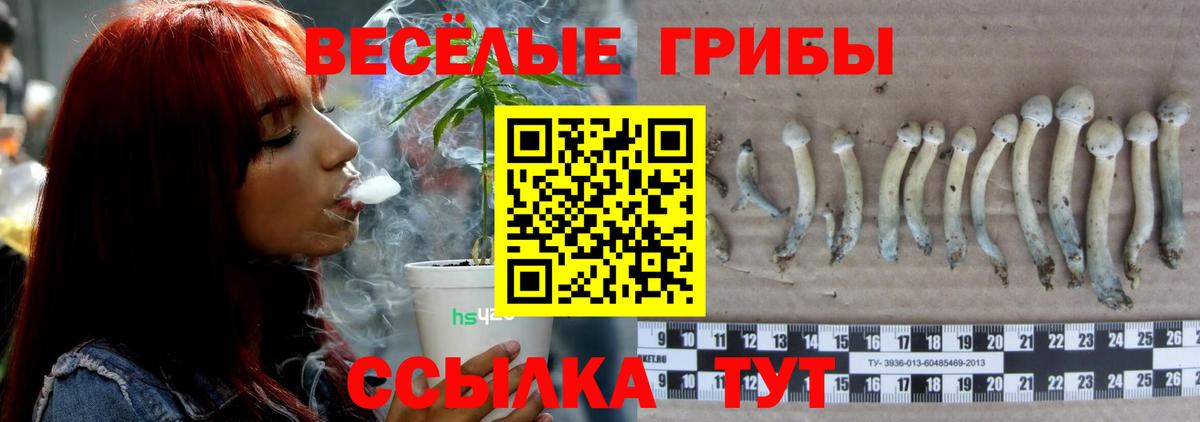 Псилоцибиновые грибы Cubensis Видное